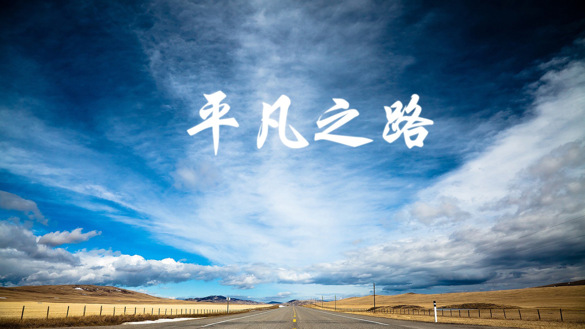 挖掘机型号及价格表大全（挖掘机的型号及价格）